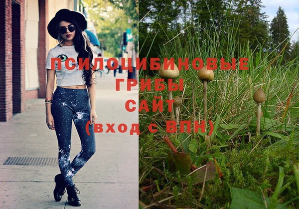 jwh Верхний Тагил